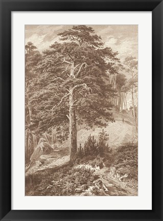 Framed Sepia Wild Pine Print