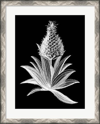 Framed Pineapple Noir I Print
