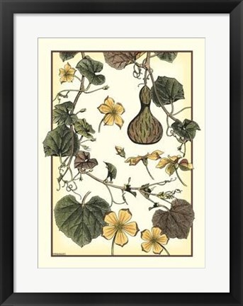 Framed Arts And Crafts Gourd Print