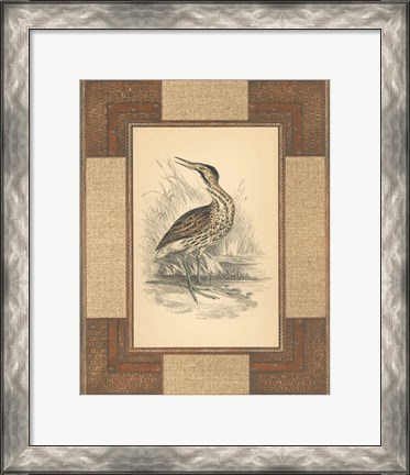 Framed Marshland Bittern Print