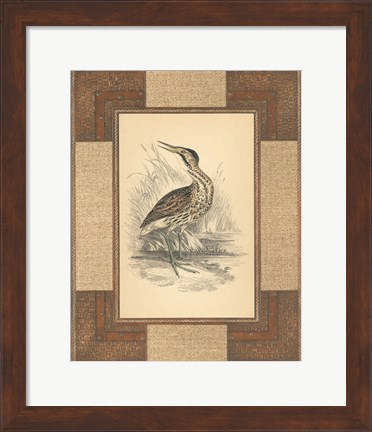 Framed Marshland Bittern Print