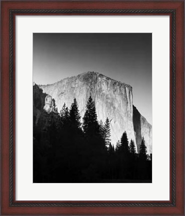 Framed El Capitan In Trees Print