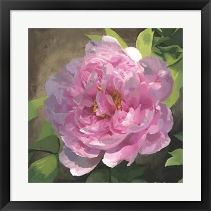 Framed Peony In Pink I Print