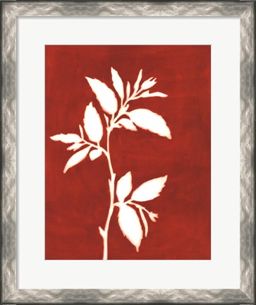 Framed Four Seasons Foliage III Print