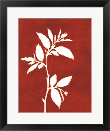 Framed Four Seasons Foliage III Print