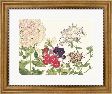 Framed Japanese Flower Garden II Print
