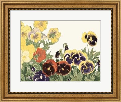 Framed Japanese Flower Garden V Print