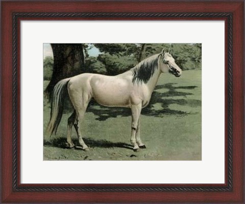 Framed Cassell&#39;s Horse I Print