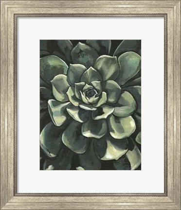 Framed Printed Lunar Succulent I Print