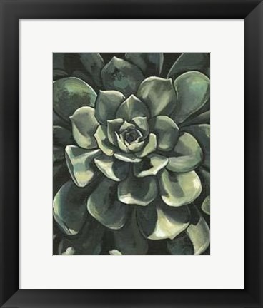 Framed Printed Lunar Succulent I Print
