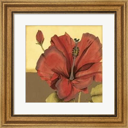 Framed Cropped Sophisticated Hibiscus IV Print