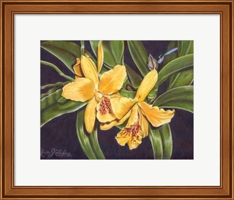 Framed Vibrant Orchid I Print