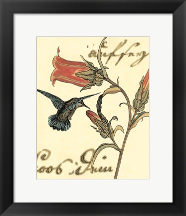 Framed Small Hummingbird Reverie III Print