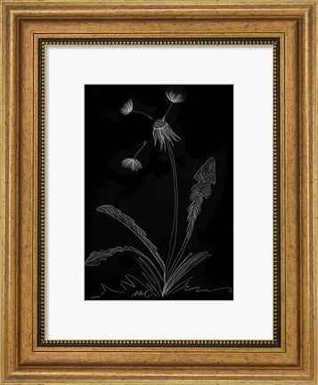 Framed Dandelion Garden I Print