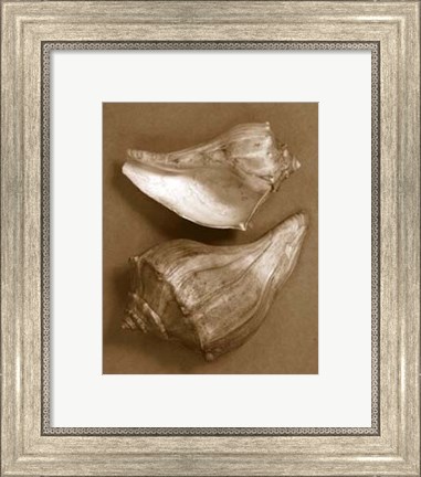 Framed Sensual Shells I Print