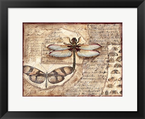 Framed Poetic Dragonfly I Print