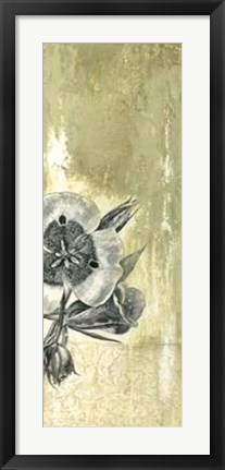 Framed Celadon in Bloom III Print