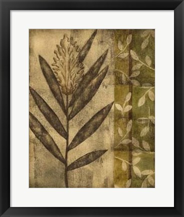 Framed Plant Exotica II Print