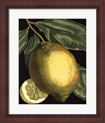 Framed Fragrant Citrus II Print