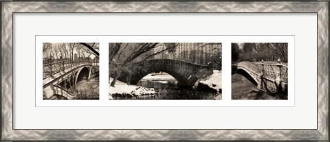 Framed Central Park Bridges Print