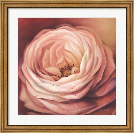 Framed Rose Portrait Print