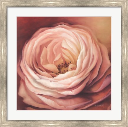 Framed Rose Portrait Print
