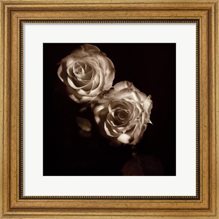 Framed Circus Roses Print