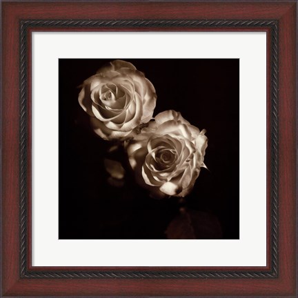 Framed Circus Roses Print