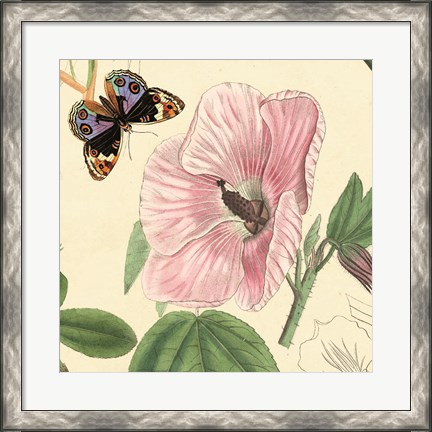 Framed Hibiscus Print