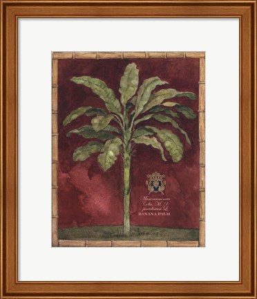Framed Caribbean Palm II With Bamboo Border Print
