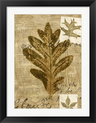 Framed Leaf Collage I Print