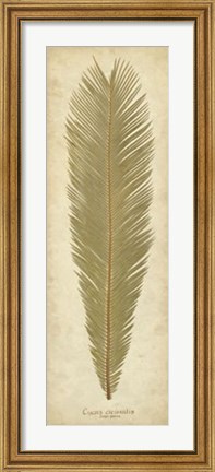 Framed Sago Palm I Print