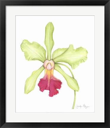 Framed Orchid Beauty III Print
