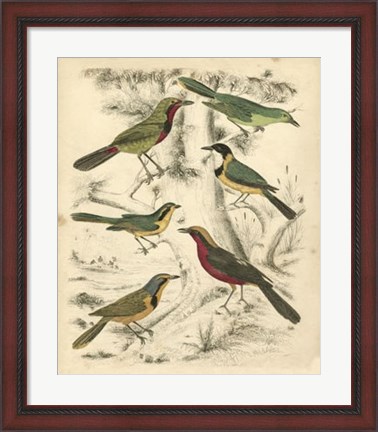 Framed Avian Habitat III Print