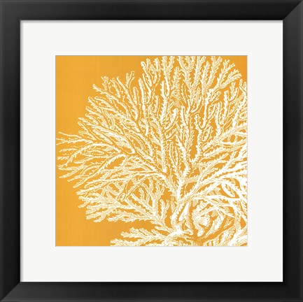 Framed Saturated Coral I Print
