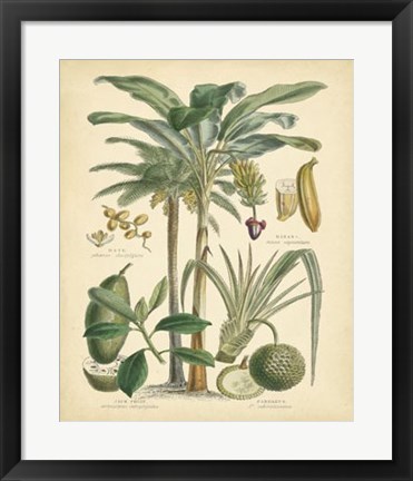 Framed Fruitful Palm II Print