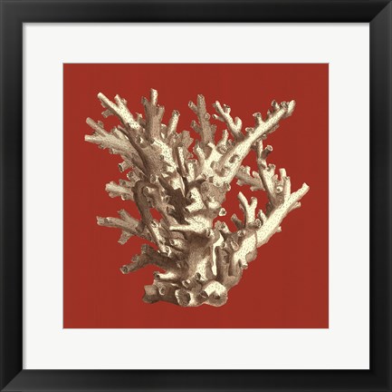 Framed Coral on Red I Print