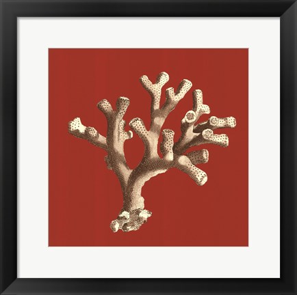 Framed Coral on Red II Print