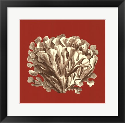 Framed Coral on Red III Print
