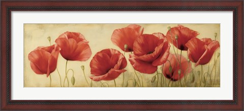 Framed Poppies Grace II Print