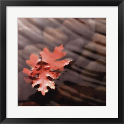Framed Leaves in Stream Print
