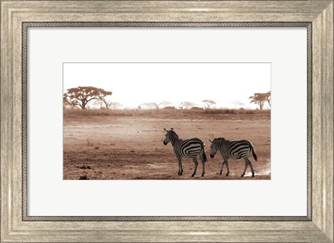 Framed Crossing The African Plains Print