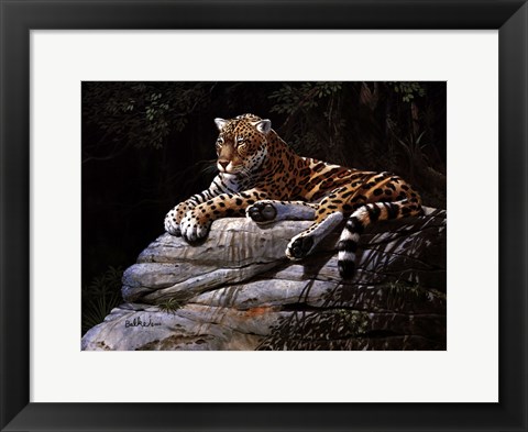 Framed Jaguar on Rock Print
