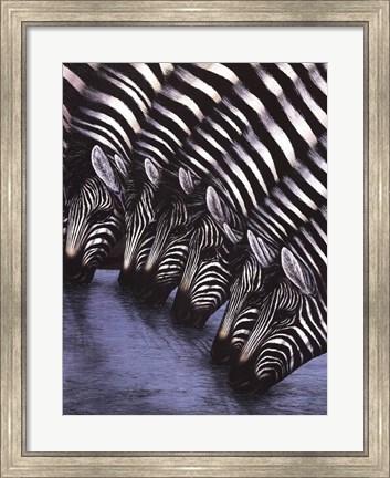 Framed Zebra&#39;s Watering Hole Print