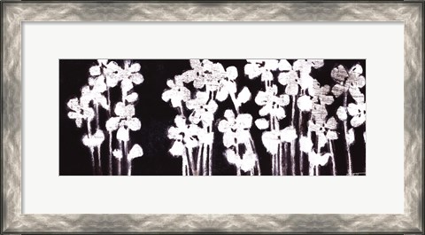 Framed White Flowers on Black I Print