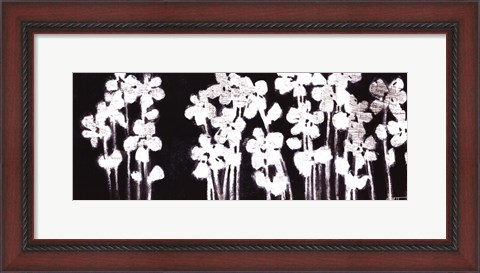 Framed White Flowers on Black I Print