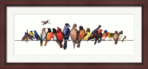 Framed Large Bird Menagerie Print