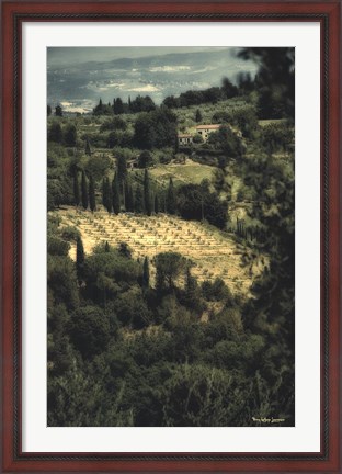 Framed Tuscan Vineyard Print