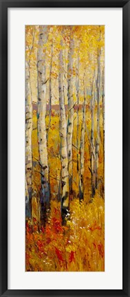Framed Vivid Birch Forest II Print