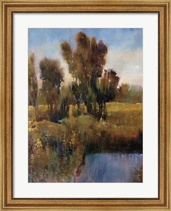 Framed Sunkissed Field I Print